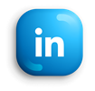 LinkedIn Social Media Button