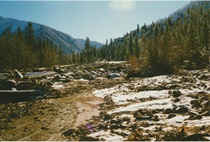 Walker River flooding aftermath in Walker Canyon on January 3, 1997.