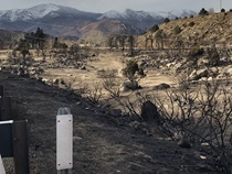 The burnt land just off U.S. 395 in Walker following the Walker Fire in November, 2020.