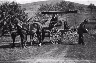 California Bureau of Highways Buckboard Wagon - Riverside County, 1896