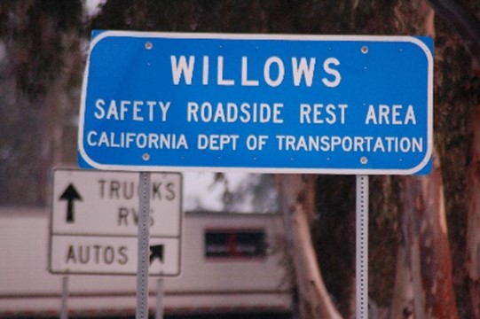 sign of willow