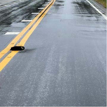 Photograph of sinkhole damage on a roadway.