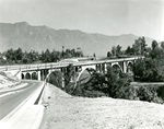 The Colorado Street Bridge in Pasadena was proclaimed the highest concrete bridge in the world when it was built in 1913.