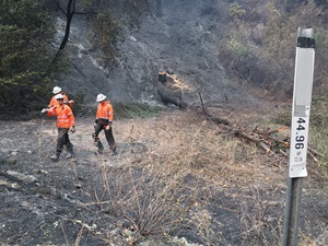 Three Caltrans Tree Fallers assess highway right-of-way and cut down burnt dead trees after the fire ravaged Butte County.