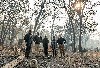 From left to right: Gov.-elect Gavin Newson, President Donald Trump, Gov. Jerry Brown, Paradise Mayor Jody Jones and Federal Emergency Management Agency Director Brock Long tour the Skyway Villa Mobile Home and RV Park during Trump’s visit of the Camp Fire in Paradise on Nov. 17.