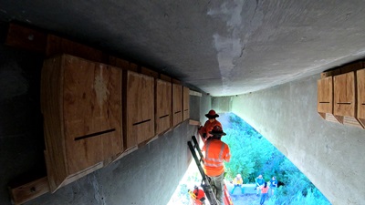 Caltrans workers install bat cages under an SR 33 bridge near Ojai