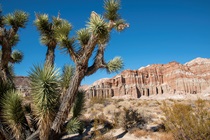 Red Rock Canyon State Park, Kern County (Photo by Michael Lingberg)