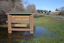 Rain water pools at the base of a sign for MacKerricher State Park, a picturesque place tucked between SR-1 and the Pacific Ocean.