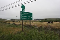 State Route 1, here known as the Shoreline Highway, veers south off Valley Ford Road a few miles east of Bodega Bay.
