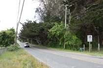Portions of California's iconic Highway 1 are downright bucolic, the roadway looking like a country road dodging trees.