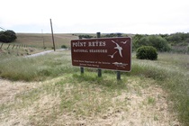 Not insignificant among California's countless natural attractions is Point Reyes National Seashore, north of the Bay Area.