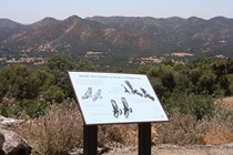 Roadside signs, as they do throughout the Golden State, along State Route 180 point out noteworthy wildlife, topical features and historical events.