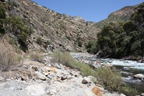 Just past Boyden Cavern, motorists can pull over to get a closer look at the South Fork of Kings River. Swimming in it is not prudent, however!