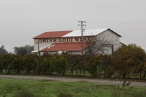 A few miles west of Lodi off the north side of Highway 12, this barn makes clear what industry dominates the region.