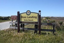 Moss Landing is a fishing community between Watsonville and Monterey along State Route 1.