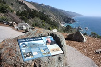 At this vista point south of Big Sur, motorists can learn about one of the region's most famous endangered species.