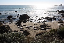 Look closely, because those things on the beach down there at Piedras Blancas are not all boulders!