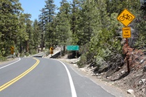 The air clears and the vegetation changes as State Route 108 wends its way up toward Sonora Pass.