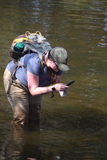District 3 environmental scientist Hannah Clark performs field work at Coon Creek in Placer County.