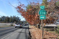 State Route 116 begins its almost-50-mile journey westward in Big Bend, at the junction of State Route 121.