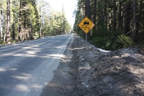 Dirty snow and weather-themed road signs come into view as State Route 20 continues east out of Nevada City.