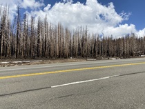It's unlikely that any major roadway across the Sierra Nevada lacks evidence of wildfires that have recently ignited in California.
