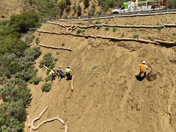 Workers installing wattles for erosion control along steep, reconstructed slope on State Route 33 in Los Padres National Forest in District 7. 