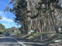 State Route 68, Salinas to Asilomar