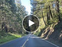 Access the video at https://youtu.be/U_KH0ogf1bo