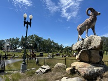 Sights you'll encounter on State Route 104, from Galt to Volcano