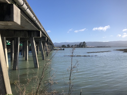 Eureka Slough Bridge looking north from bike path. Concrete pillars extend from under the bridge deck into the green water of the Eureka Slough. 