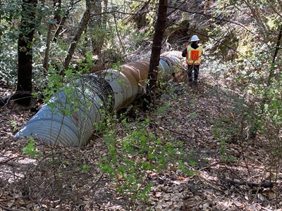A well worn drainpipe emerges from a hillside and winds through narrow trees before ending at a waterway. Rust covers half of the pipe. A Caltrans worker in an orange reflective vest and a white hardhat looks on.
