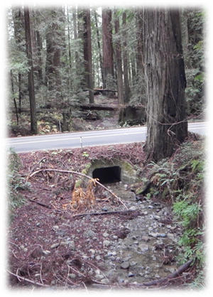 One of the existing culverts on State Route 254. A small creek runs into the far side under the roadway then out the near side.