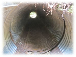One of the existing culverts on State Route 254. A crack is visible in the near side.