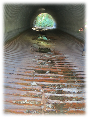 One of the existing culverts on State Route 254. The culvert is misshapen and damaged throughout. A worker shines a flashlight on a heavily damaged section of the culvert.