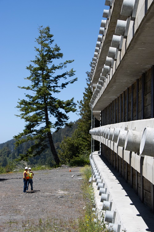 A multi-story retaining wall towers over Caltrans staff during a tour of Last Chance Grade on U.S. 101 in Del Norte County. A lone redwood tree is dwarfed by the sheer size of the adjacent wall. 
