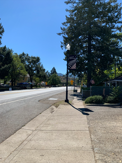 Sidewalk extends from foreground to background with decorative lighting fixture adorned with "Celebrate Middletown" banner with red, white, blue stripes and white stars.  A road runs parallel to the sidewalk. 
