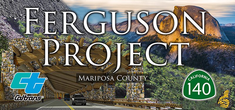 Ferguson Project Logo