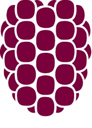 Dewberry Company Logo