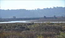 Figure SD-12C — Views from San Dieguito and Los Penasquitos Lagoons that Include Proposed I-5 Improvements. For more information call (619) 688-6670 or email CT.Public.Information.D11@dot.ca.gov