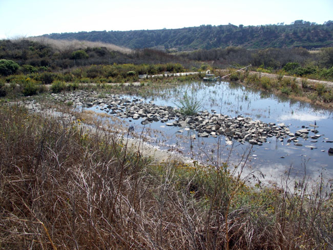 I-5/SR-56 Detention Basin after a storm event. For more information call (619) 688-6670 or email CT.Public.Information.D11@dot.ca.gov