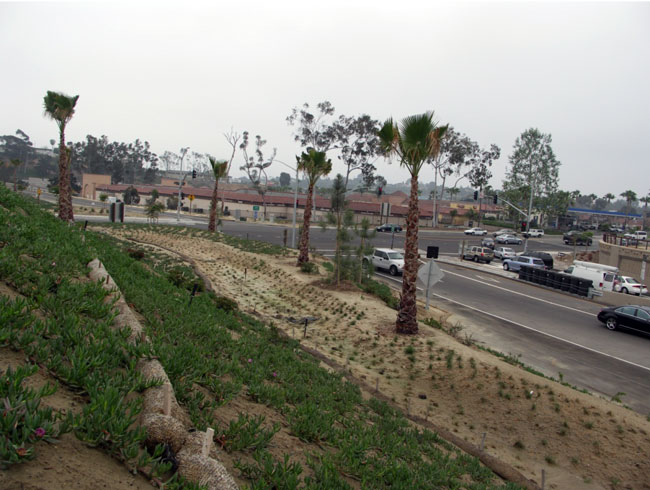 I-5 @ Lomas Santa Fe Biofiltration Swales after construction. For more information call (619) 688-6670 or email CT.Public.Information.D11@dot.ca.gov