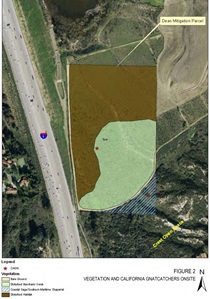 Figure 2 – Vegetation and California Gnatcatchers Onsite. For more information call (619) 688-6670 or email CT.Public.Information.D11@dot.ca.gov