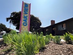 A photo taken from ground level; looking up at one of the new entry markers to the Oak View Neighborhood. The name "Oak View" is written vertically; atop a checkered yellow and white background and bordered in pink. Behind the marker sit shade trees and one of the neighborhood's homes. On the ground in front of the marker are various drought-resistant vegitation planted as a part of the project. 