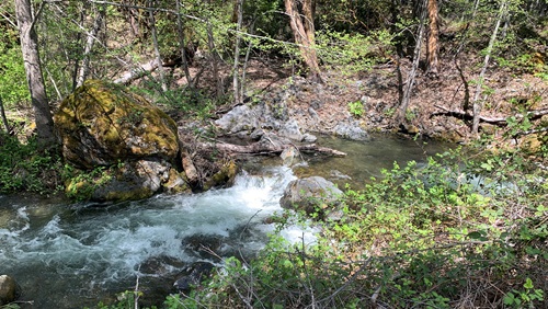 Portuguese Creek and Cade Creek