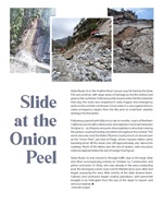 Slide at the Onion Peel Website Photo 4