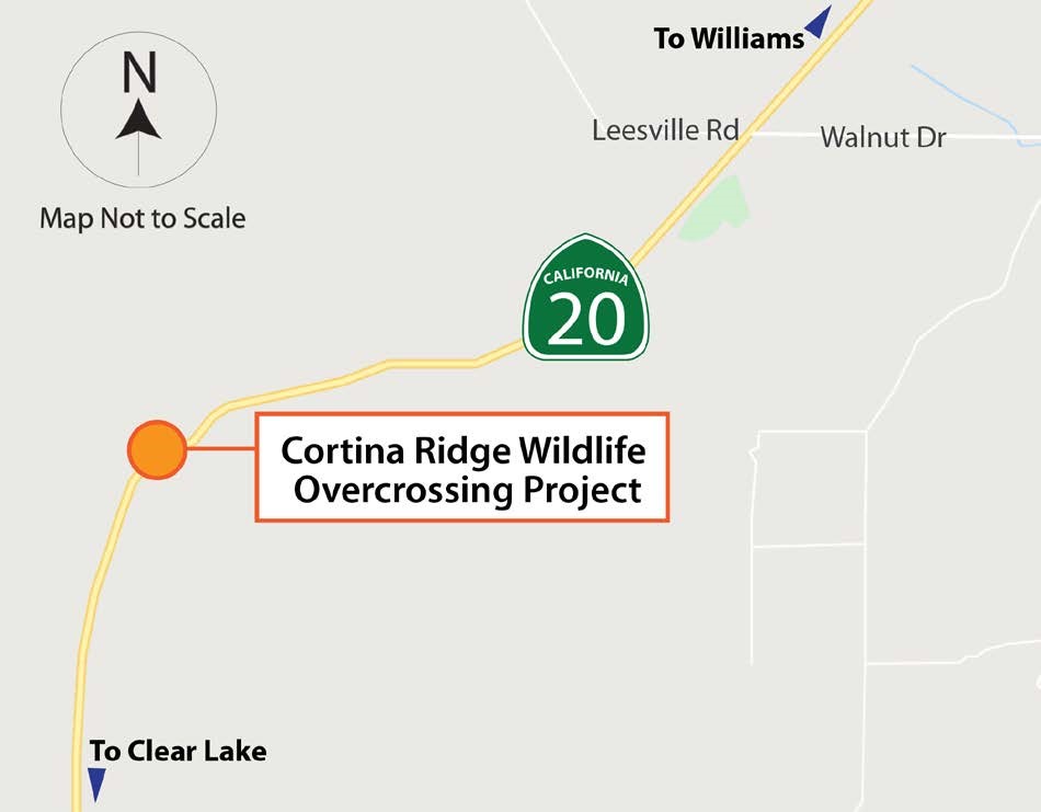 Map showing proposed wildlife overcrossing on Highway 20 about 10.5 miles west of Williams. The Cortina Ridge Wildlife Overcrossing would restore Tule Elk range and habitat connectivity between Cortina Ridge and Bear Valley.