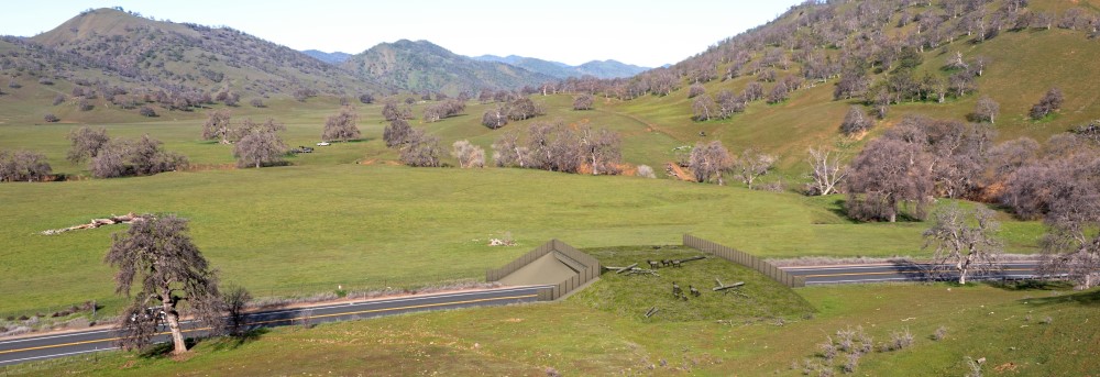 Render of proposed wildlife overcrossing on Highway 20 about 10.5 miles west of Williams.