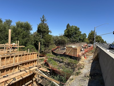 Construction crews installing reinforcement and forms for the abutments and wing walls for the new Rock Creek Pedestrian Bridge along State Route 49 in Auburn.