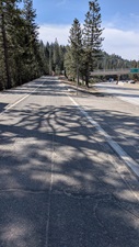 A paved roadway runs straight ahead through a forested area with tall pine trees on both sides. Sunlight filters through the branches, creating circular shadows on the pavement in the foreground. To the right, a lower roadway and freeway entrance signs are visible in the distance. The sky is clear with light clouds above the treetops.